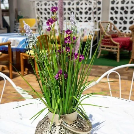 Apartmenthaus Sila * ויינשטאדט