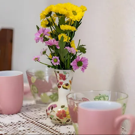 Apartmenthaus Sila 펜션 바인슈타트
